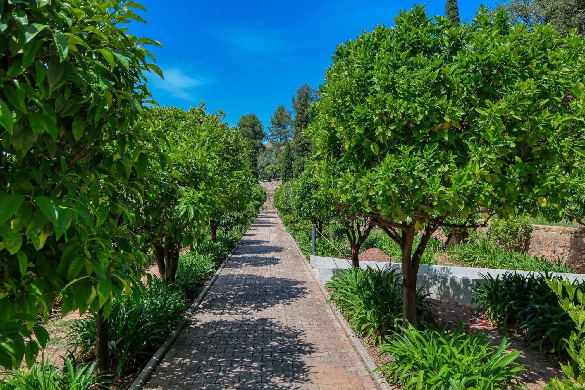 Hotel Domaine Des Gueules Cassees La Valette-du-Var Zewnętrze zdjęcie