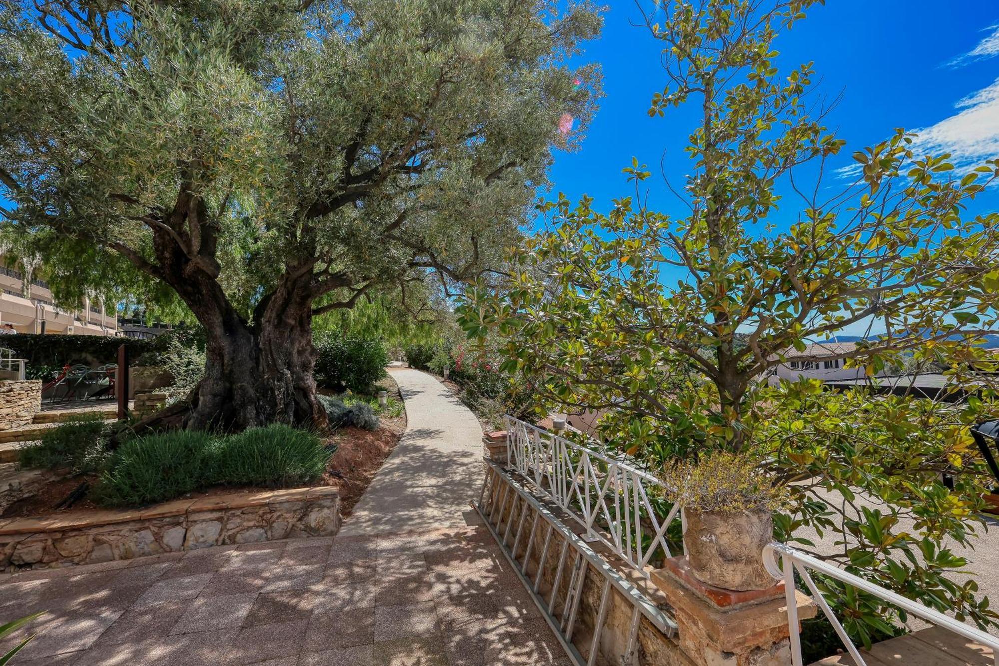 Hotel Domaine Des Gueules Cassees La Valette-du-Var Zewnętrze zdjęcie